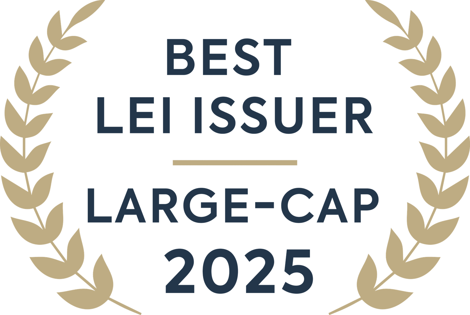 Best LEI Issuer, Large-Cap 2025